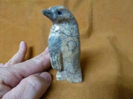 (Y-PEN-201) Lg Gray tan PENGUIN carving SOAPSTONE PERU FIGURINE stone sn... - $23.83