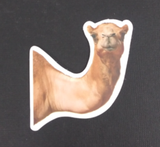 Camel Neck &amp; Head Desert Sticker 2.25&quot; (AN) - $1.64