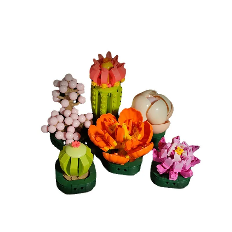 DIY Potted Plants Succulents Cactus Gypsophila Bonsai Tree Gardens Romantic - £50.08 GBP