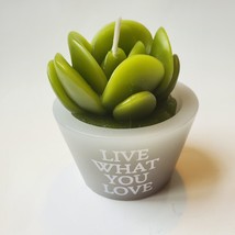 Succulent Shaped Candles, 2.6", Love Grows, Happy Place, Live What You Love image 5