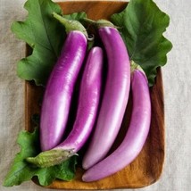 US Seller Eggplant Seeds Long Chinese Nasubi Purple Shine Vegetable Gardening Fa - £14.10 GBP