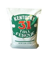 Barenbrug Kentucky 31 Tall Fescue Grass Seed 1000 Sq. Ft. Polybagged 5 Lb. - $43.56 CAD