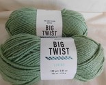 Big Twist Living Sage lot of 2 Dye Lot 197118 - £8.02 GBP