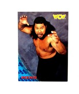 Meng 1998 WCW/nWo Topps Card #38 Haku - £1.53 GBP