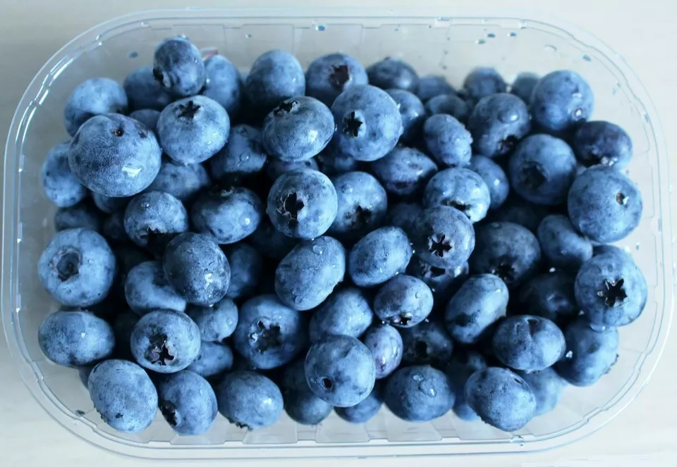 100 Highbush Blueberry Seeds - $5.99