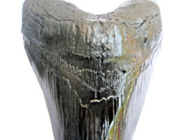 Item image 14