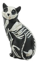 Day Of The Dead Bone Skeleton Male Cat Statue Halloween 3D X-Ray Decor F... - $25.99