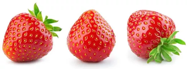 200 Everbearing Strawberry Seeds To Grow Red Strawberry Vines Usa Seller - £15.70 GBP
