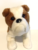 Douglas Bull dog plush 10 inches from nose to tail white &amp; brown - £9.46 GBP