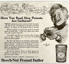 1917 Beech Nut Peanut Butter Advertisement Snacks Food LGADYC4 - $9.99