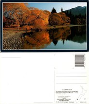 New Zealand Glendhu Bay Lake Wanaka in Autumn Fall Reflection Trees VTG Postcard - £9.84 GBP