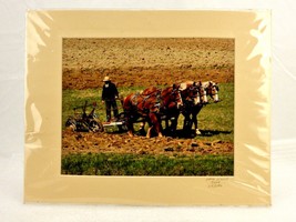 Amish Draft Horse Plow Team, Matted Photography Print, Wade Wilcox, Vintage Art - £19.54 GBP