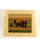 Amish Draft Horse Plow Team, Matted Photography Print, Wade Wilcox, Vint... - $33.92 CAD