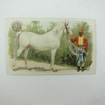 Victorian Trade Card Arm &amp; Hammer Interesting Animals Arabian Stallion Horse #53 - £7.98 GBP