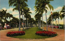 Cocoanut Palm Avenue in Beautiful Florida Postcard PC48 - £3.94 GBP
