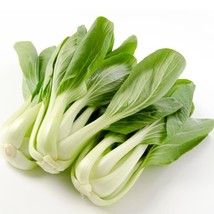 Pak Choi - Seeds - Organic - Non Gmo - Heirloom Seeds – Vegetable Seeds FRESH - £6.87 GBP