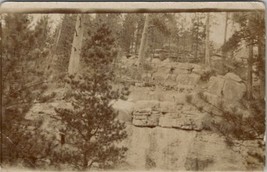 RPPC Deer on the Cliffs How Many Can you Find Lovely Pine Trees Postcard Z23 - £11.13 GBP