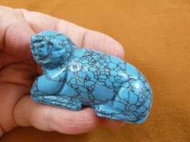 (Y-SEAL-709) blue Howlite SEAL gemstone carving FIGURINE gem love seals ... - $17.53