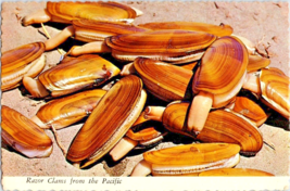 Postcard California Razor Clams from the Pacific Edible Restricted 6 x 4 Inches - £3.96 GBP