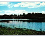 Reservation Lake Fort Apache Arizona AZ UNP Chrome Postcard N21 - $1.93