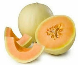 Orange Flesh Honeydew Seeds - Very Sweet Fruit Garden USA Shipping - $12.98