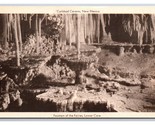 Fountain of the Fairies Carlsbad Caverns New Mexico NM UNP WB Postcard N25 - $3.91