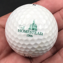 The Homestead Golf Course Hot Springs VA Virginia Souvenir Golf Ball Titleist DT - £7.62 GBP