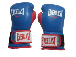 EVERLAST Powerlock Hook &amp; Loop Training Boxing Gloves  Synthetic Leather 16oz - £23.97 GBP