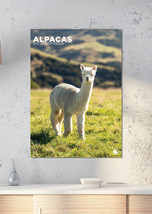 Alpacas Calendar 2026  - $19.99