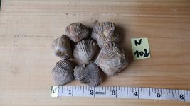 Item image 10