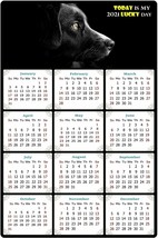 2022 Magnetic Calendar - Today is My Lucky Day - Dogs Themed 05 (7 x 10.5) - £7.90 GBP