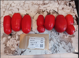 Marzano Tomato Variety (Argentina and USA) Seeds 35+ 2023 Lot - £3.16 GBP