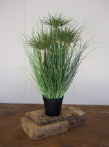 Large Realistic Lifelike Artificial Cyprus Grass Plant In Black Pot Bota... - $49.99