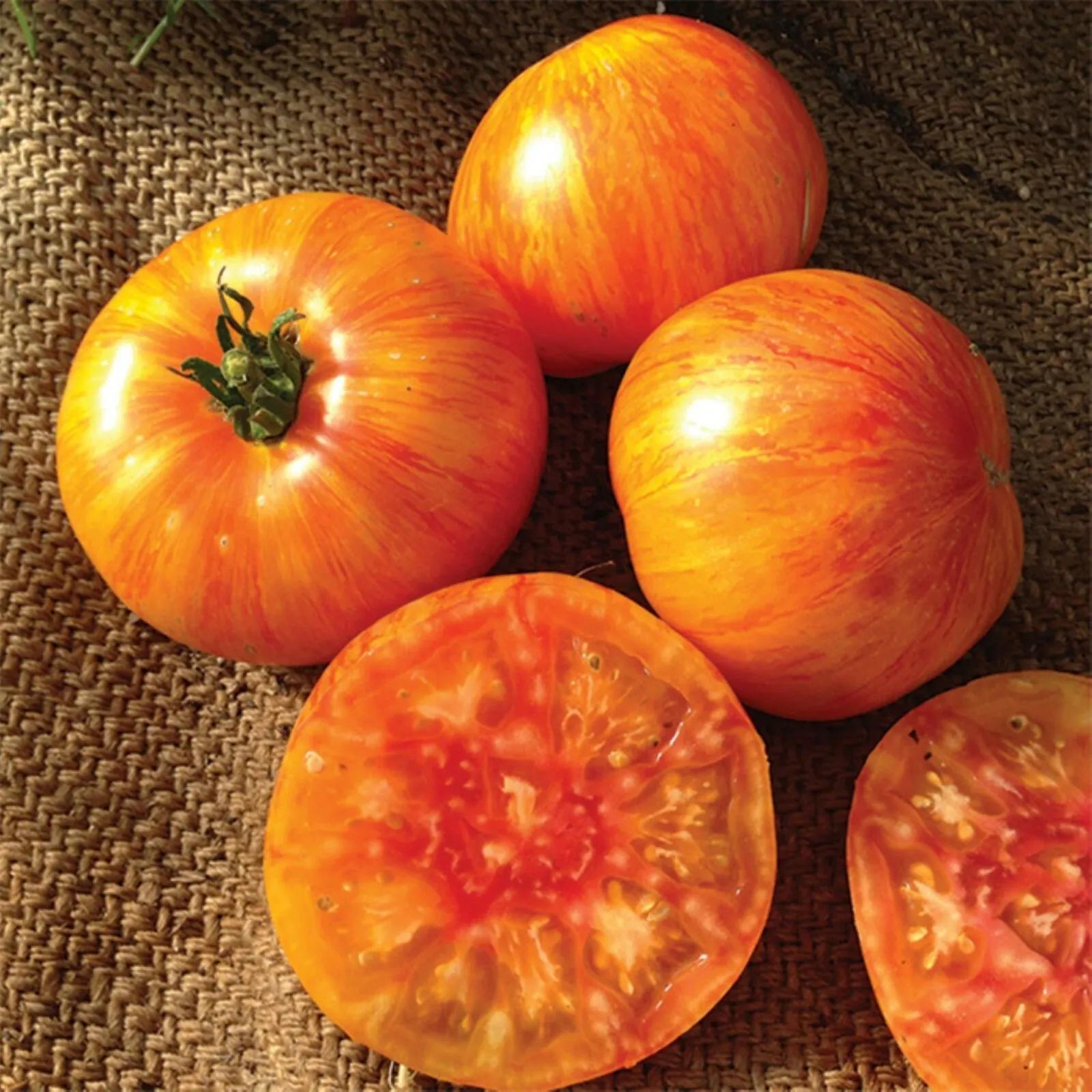 20 Organic Beauty King tomato seeds - Large, Juicy USA - £9.43 GBP