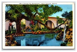 Among the Bungalows At Hotel Agua Caliente Tijuana Mexico WB Postcard Y17 - £3.12 GBP