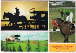 Postcard Assiniboia Downs Winnipeg Manitoba - £2.36 GBP