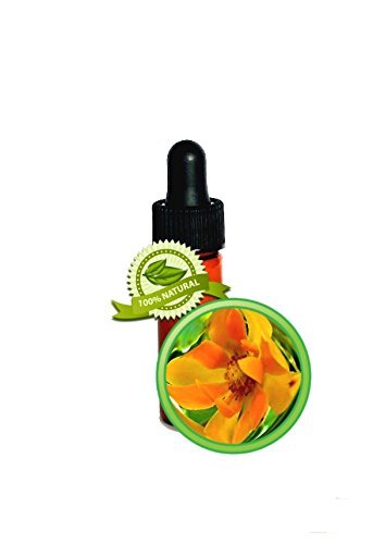 Champaca Essential Oil - 100% Pure Michelia Champaca - 1 DRAM (1/8oz)