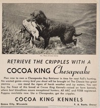 1947 Print Ad Chesapeake Bay Retriever Dogs Cocoa King Kennels Genoa Cit... - £10.67 GBP