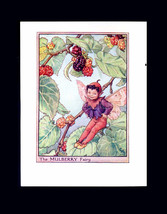 The Mulberry Tree Fairy Art by Cicely Mary Barker Original Early 1940s Editioin  - £11.10 GBP