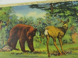 Vintage Curt Teich Comic Linen Postcard Little Dear Bare Behind Deer Bear 33190 - $23.75