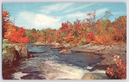 Postcard Mountain Steam New Mexico Autumn Leaves Unposted NM Vintage - £6.25 GBP