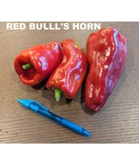 SEED- Marconi Rosso Red Bull&#39;s Horn Shepherd -Heirloom Italian Sweet Pep... - €3,12 EUR+