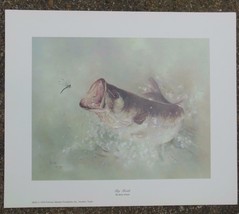 Vintage Collector&#39;s Print Big Mouth  by Betty Allison 1979 11 x 13&quot; Bass Fish - £14.24 GBP