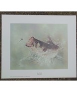 Vintage Collector&#39;s Print Big Mouth  by Betty Allison 1979 11 x 13&quot; Bass... - £14.19 GBP
