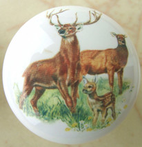 Cabinet Knobs Buck Whitetail Deer Wildlife #1 - $5.30
