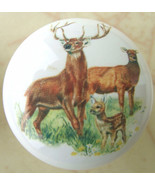 Cabinet Knobs Buck Whitetail Deer Wildlife #1 - $100.73 MXN