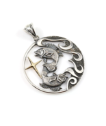 Pisces Zodiac Sign Sterling Silver Pendants Charm with Golden Star - $156.42