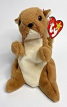1996 Ty Beanie Baby &quot;Nuts&quot; Retired Squirrel BB16 - £7.89 GBP