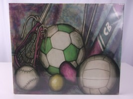 12x10 Canvas Print Sports Equipment Colors Volleyball Soccer Hockey Softball Nip - £3.60 GBP