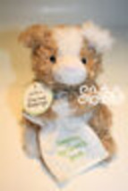 Precious Blessings Hallmark Bear 6&quot; Touched Gods Love Brown White Plush Dog New - £8.39 GBP